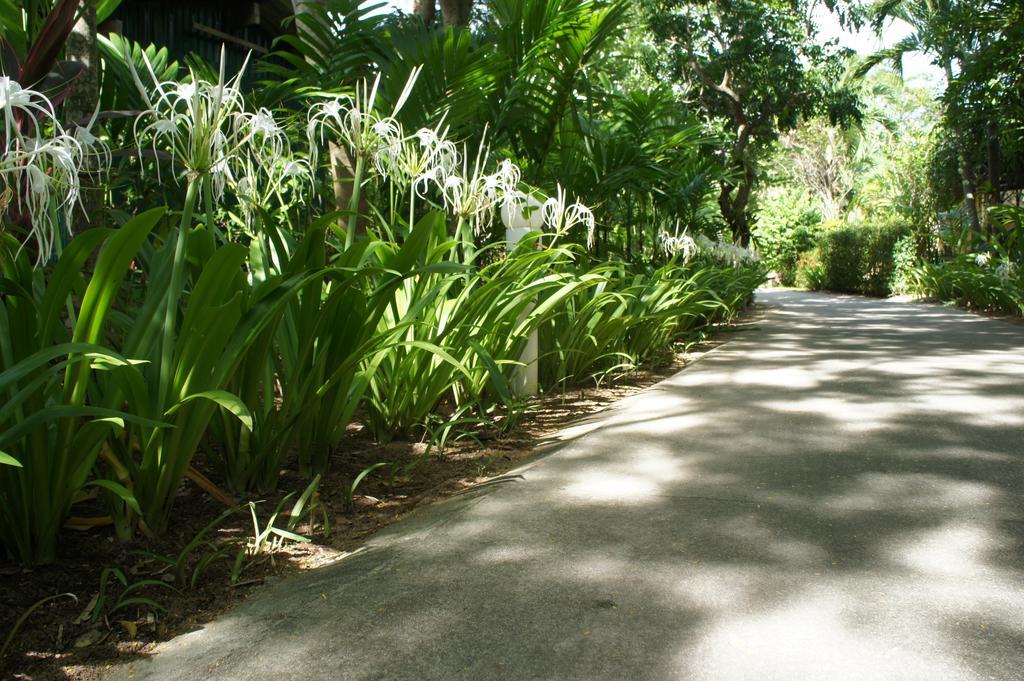 Palm Village Rawai Екстер'єр фото