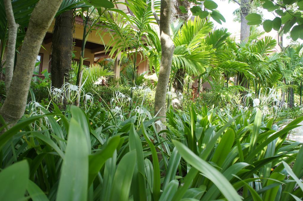Palm Village Rawai Екстер'єр фото