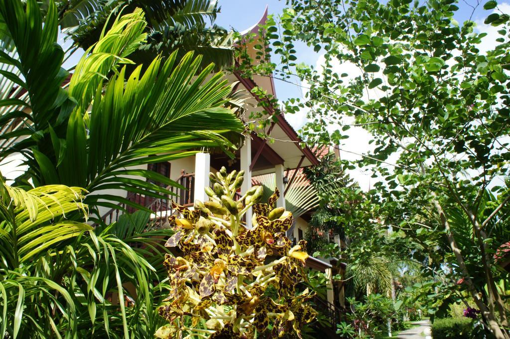 Palm Village Rawai Екстер'єр фото
